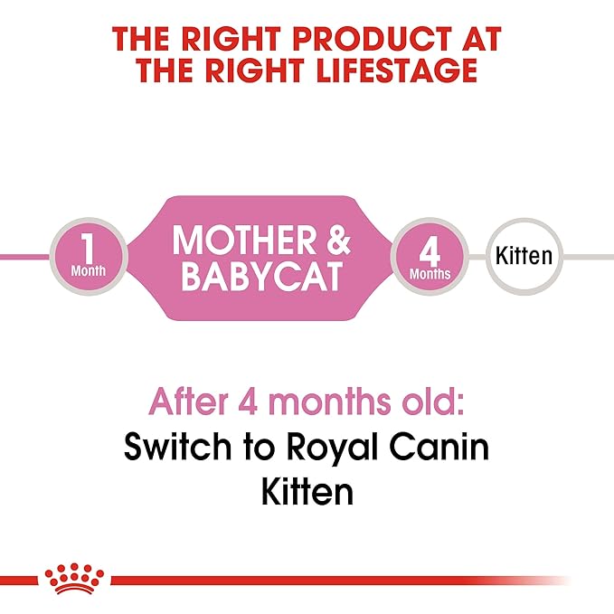 Royal Canin Mother & Baby Dry Cat Food, Meat Flavor, 2000g